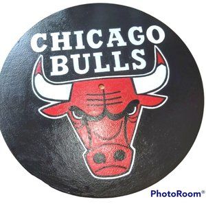 Handpainted Vinyl Record Painting ~ NBA CHICAGO BULLS - Framed